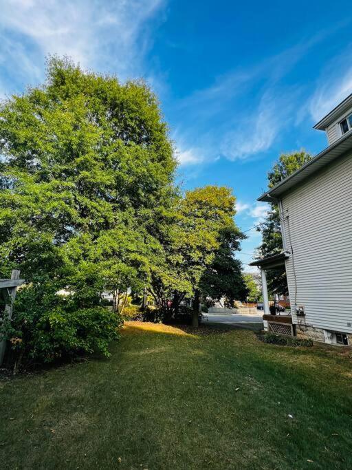 4 Bedroom Dc'S Best Location With Parking, Walk To Clarendon Metro, Shopping And Nightlife! Arlington Exterior foto
